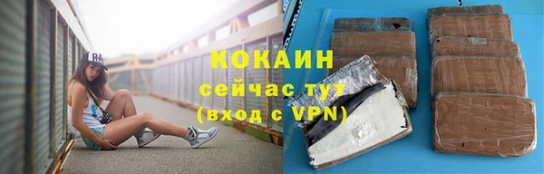 гидра Абаза