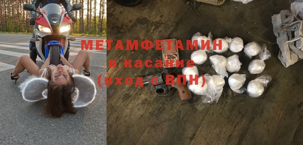 прущие грибы Янаул